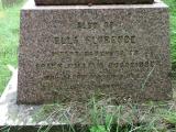 image of grave number 682018